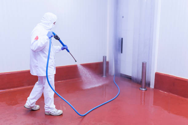 Best Sidewalk and Walkway Cleaning  in Fort Drum, NY
